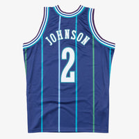 Charlotte Hornets Mitchell & Ness Larry Johnson Authentic Jersey
