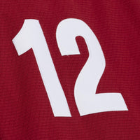 Arizona Coyotes Paul Bissonnette jersey – view 7