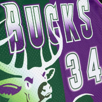 Milwaukee Bucks Mitchell & Ness Ray Allen 1996 Split Swingman Jersey - Green/Purple