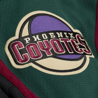 Arizona Coyotes Shane Doan Black jersey – view 6