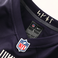 Minnesota Vikings Andrew Van Ginkel Nike Purple 2026 Rivalries Collection Game Jersey