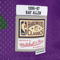 Milwaukee Bucks Mitchell & Ness Ray Allen 1996 Split Swingman Jersey - Green/Purple