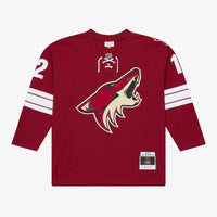 Arizona Coyotes Paul Bissonnette jersey – view 3