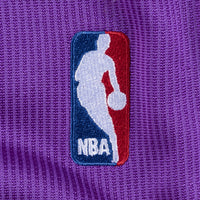 Toronto Raptors Mitchell & Ness Vince Carter 99-00 Authentic Jersey - Purple