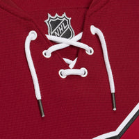 Arizona Coyotes Paul Bissonnette jersey – view 9