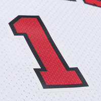 Chicago Bulls NBA M&N Swingman Jersey - Derrick Rose