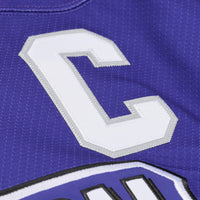 1994 NHL All-Star Game Wayne Gretzky Mitchell & Ness Purple Power Play Jersey