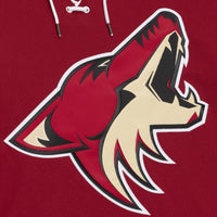 Arizona Coyotes Paul Bissonnette jersey – view 5