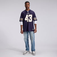 Minnesota Vikings Andrew Van Ginkel Nike Purple 2026 Rivalries Collection Game Jersey
