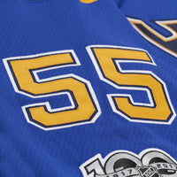 St. Louis Blues Colton Parayko Blue jersey – view 8