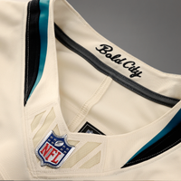 Jacksonville Jaguars Fred Taylor Nike Natural 2026 Rivalries Collection Printed Limited Jersey