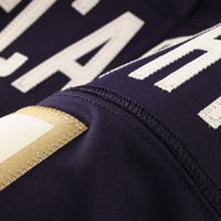 Minnesota Vikings Andrew Van Ginkel Nike Purple 2026 Rivalries Collection Printed Limited Jersey