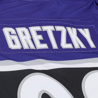1994 NHL All-Star Game Wayne Gretzky Mitchell & Ness Purple Power Play Jersey