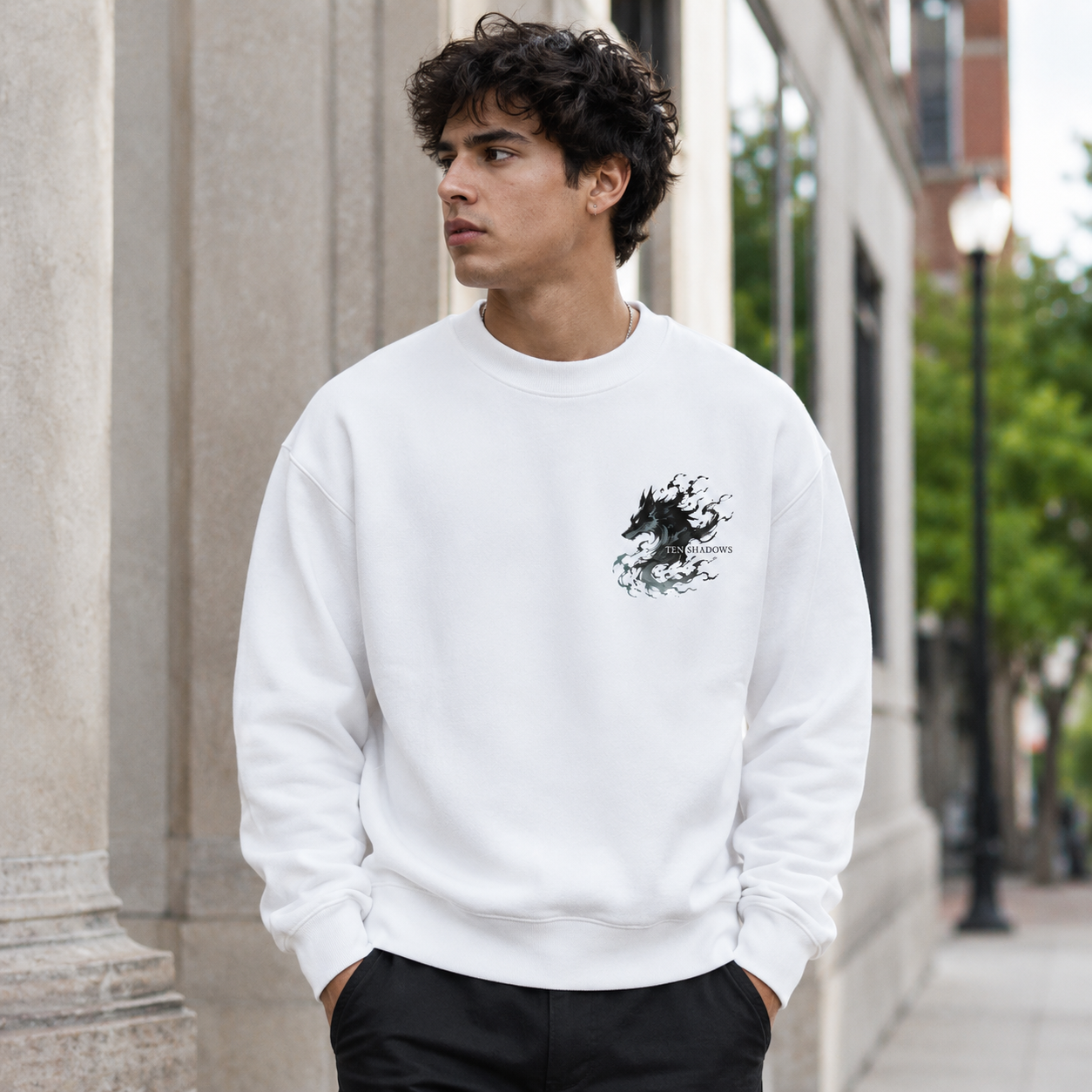 White sweatshirt with Fushiguro Megumi Jujutsu Kaisen Ten Shadows Technique graphic – photo 4